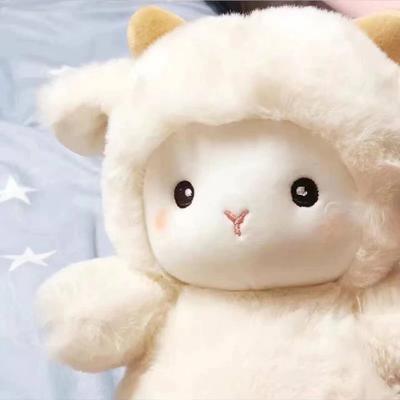 Bebek ve Peluş Oyuncaklar – Doldurulmuş ve Peluş oyuncak hayvanlar