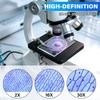 64X-2400X Magnification Compound Microscope with LED Fill Light and Slides - Educational Microscope for Kids Students Adults