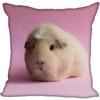Living Room Pillowcase Guinea Pig   Modern Home