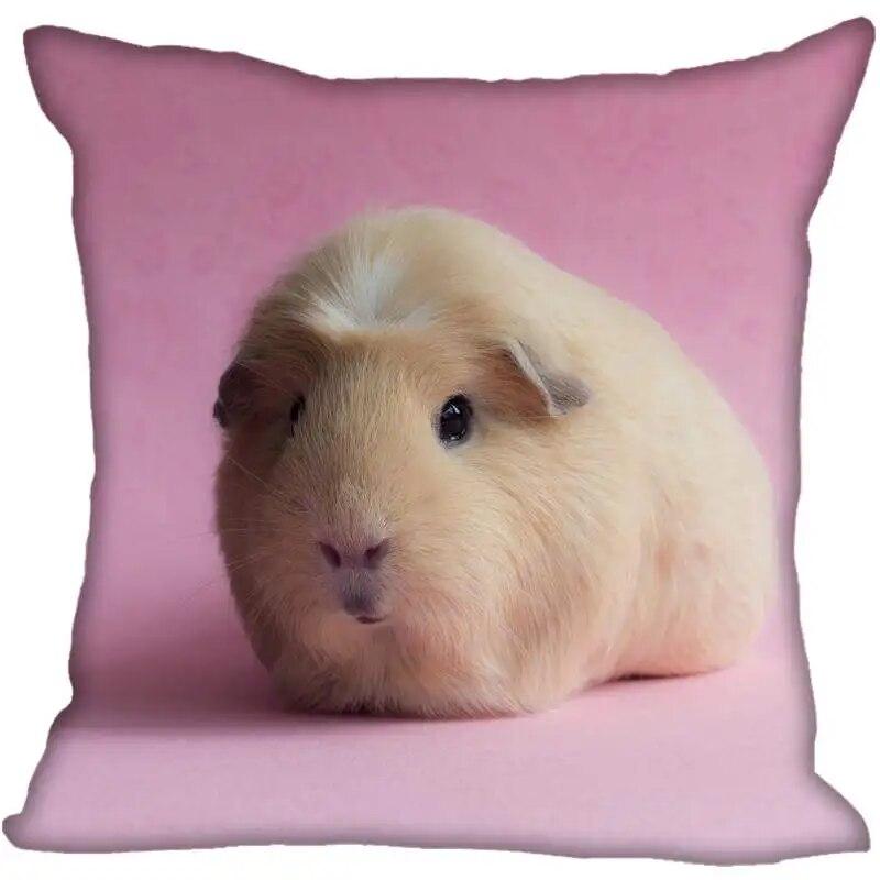 Living Room Pillowcase Guinea Pig   Modern Home