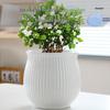 Elegant White Ceramic Flower Pot with Tray - Ideal for Ivy, Spider Plants, and Succulents