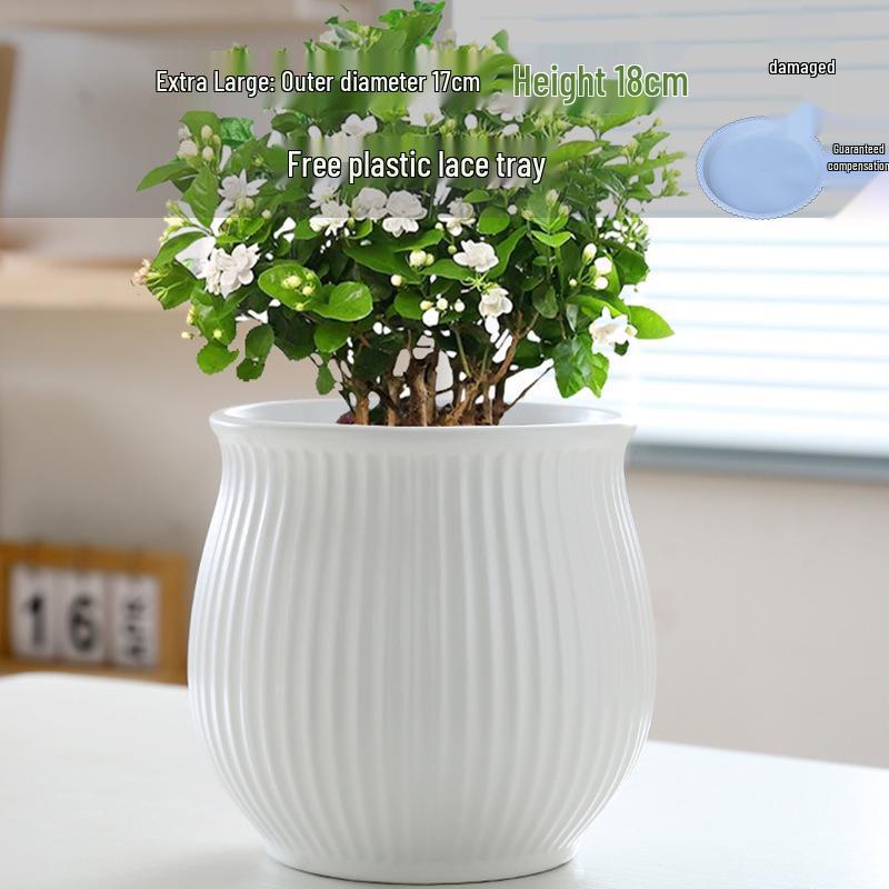 Elegant White Ceramic Flower Pot with Tray - Ideal for Ivy, Spider Plants, and Succulents