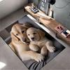 Golden Retrievers Relaxing Design Suitable As a Non-slip Mat for the Living Room or Bedroom Sofa