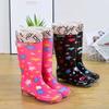 Scarpe da donna – Stivali di gomma e copriscarpe