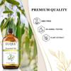 EUQEE 100% Eucalyptus Essential Oil 118ml X 2