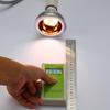 LED Reptile UVB/UVA Sun Lamp for Bearded Dragons and Tortoises