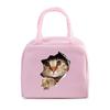 Funny 3D Cats Portable Lunch Bag Durable Office Women Men Thermal Box Cartoon Lunch Handbags Cooler Insulated Food Lunch Bags