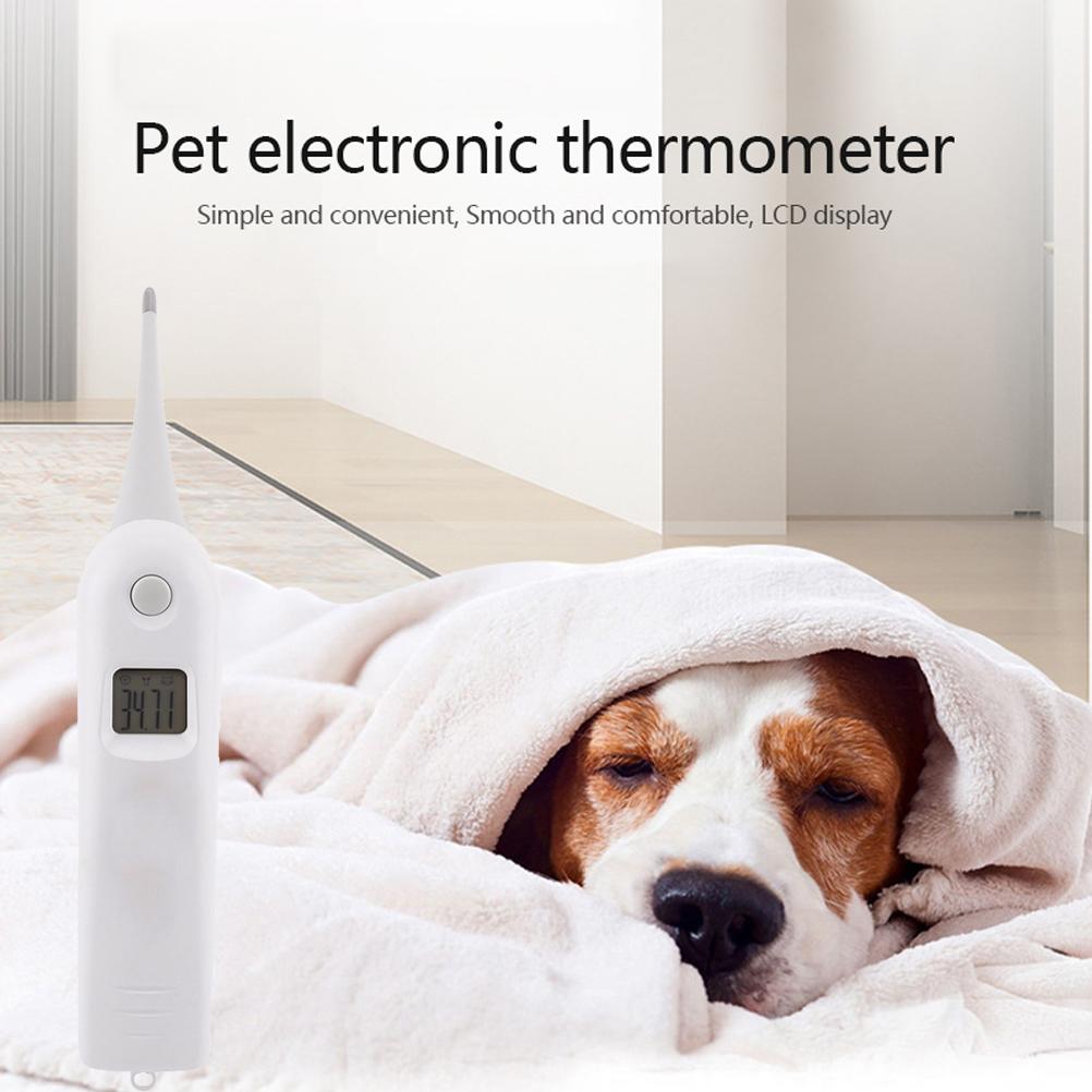 Tierarzt-Thermometer Haustier Digitales Thermometer Elektronisches Thermometer für Tiere