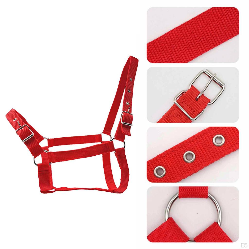 Verstellbares Nylonhalfter für Pferde, Bequemes Zubehör, Ausrüstung für Training und Turniere,