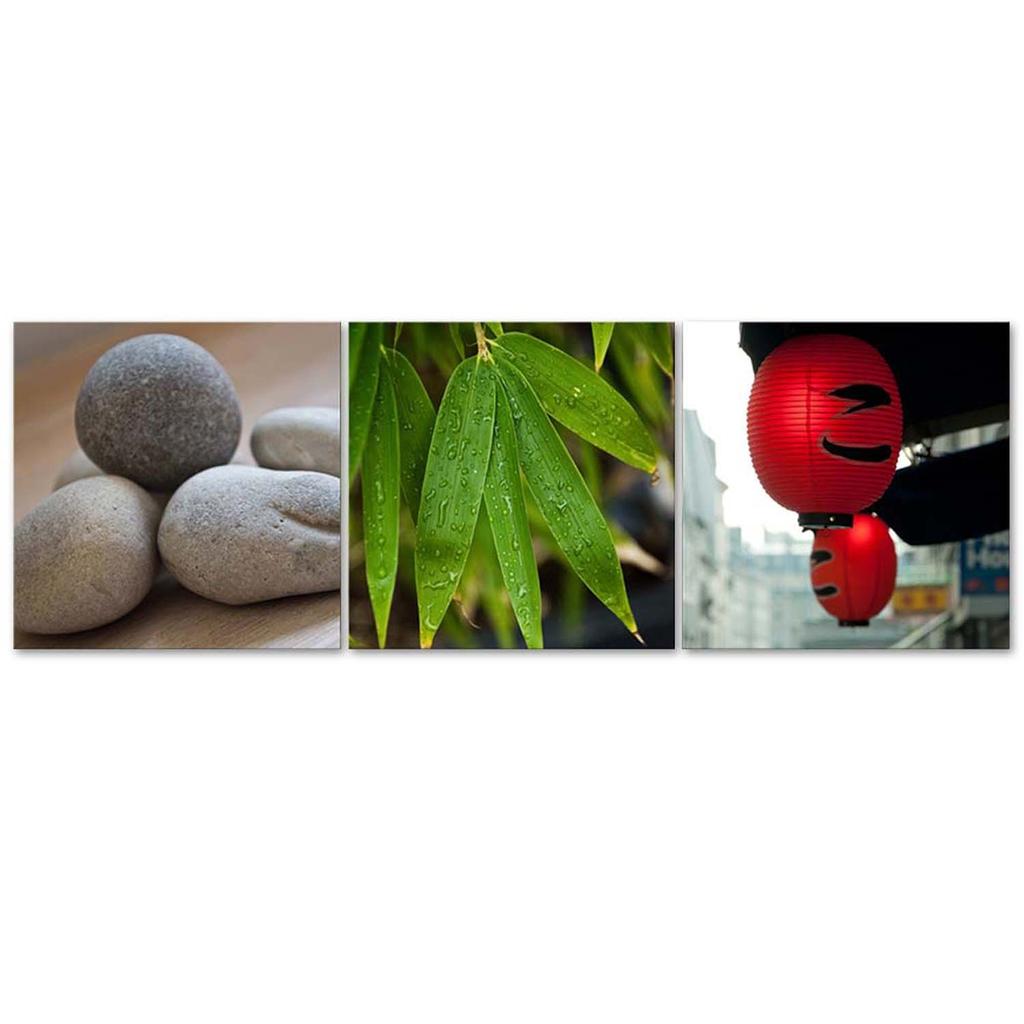Set of Three Pictures Canvas Print Stones Leaves