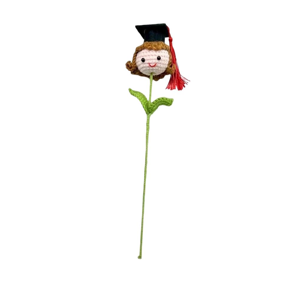 Graduation Doctoral Hat Hand Woven Woolen Doll Suitable For Graduation Event Gifts