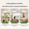 Smart Full Spectrum Eye-Care Ceiling Fan with LED Light