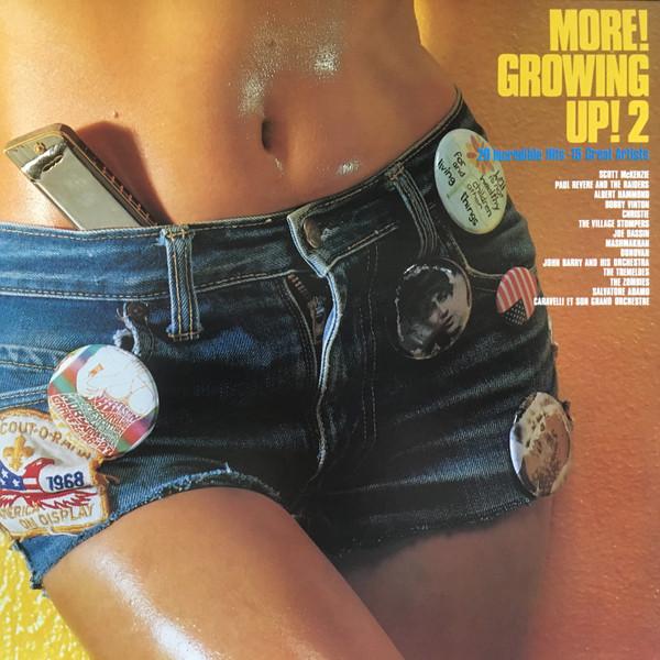 

LP Record VARIOUS - More! Growing Up! 2 253P201 EPIC 1980 Japan Obi Rock