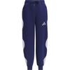 Full Length Pants Dark Blue/Light Purple Teenagers JM5844