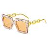 Polarized Oversized Sunglasses Oversized Shades Lens Vintage Style For Birthday Girl Fashion Accessory