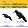 ONESORA Crow Bird Lifelike Feathered Crows Simply Hang to Repel Crows Repellent, Repellent, (2 Life-Size Birds) -