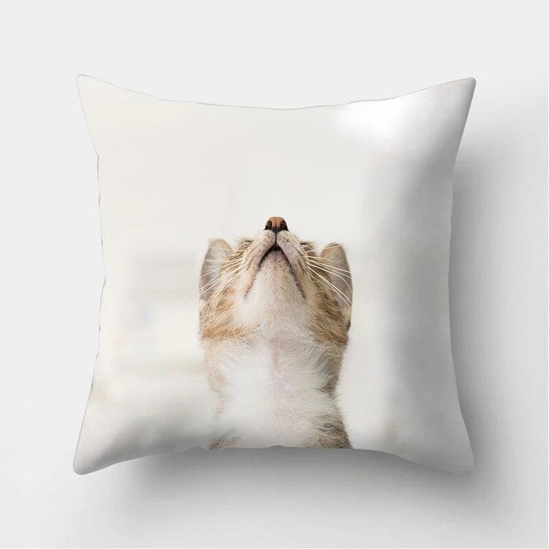 Cute Cat Print Decorative Cushion Pillowcase  Cover Pillow Sofa Living Room