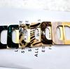 Acrylic Aluminum Alloy D-Ring Decorative Square Waist Belt Buckle