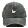 Vintage Adjustable Unisex Vintage Cap for Outdoor Hiking and Mountaineering