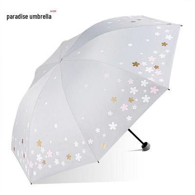 Accessori – Ombrelli