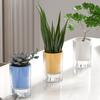 Selbstbewässernder Blumentopf Stilvoller Dekorativer Pflanztopf Selbstbewässernder Blumenkasten Für Zimmerpflanzen Einfache Pflege