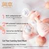 RUNBEN Xiaotaoxi Anti-Bacterial Cat Paw Foam Hand Wash, 250ml