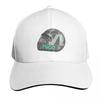 Nico Rosberg  Helmet Baseball Cap Contrast Two Tone Brim Snapback Flat Bill Strapback Dad Hat
