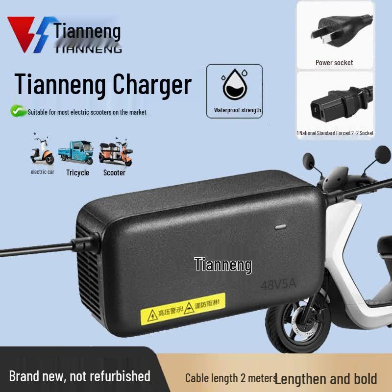 48V 5A Electric Vehicle Fast Battery Charger