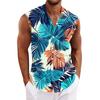 Men's Hawaiian Lapel Button-down Shirt T-shirt Top