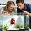 Pești și animale marine – Decorul acvariului