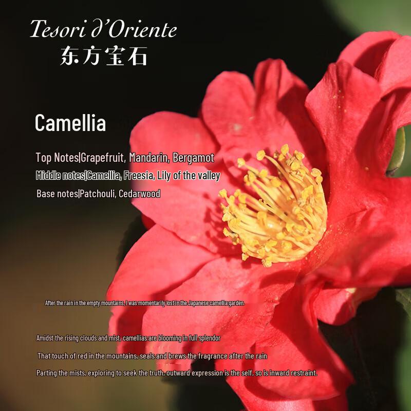 TESORID'ORIENTE Camellia Scented Hand Cream 75ml