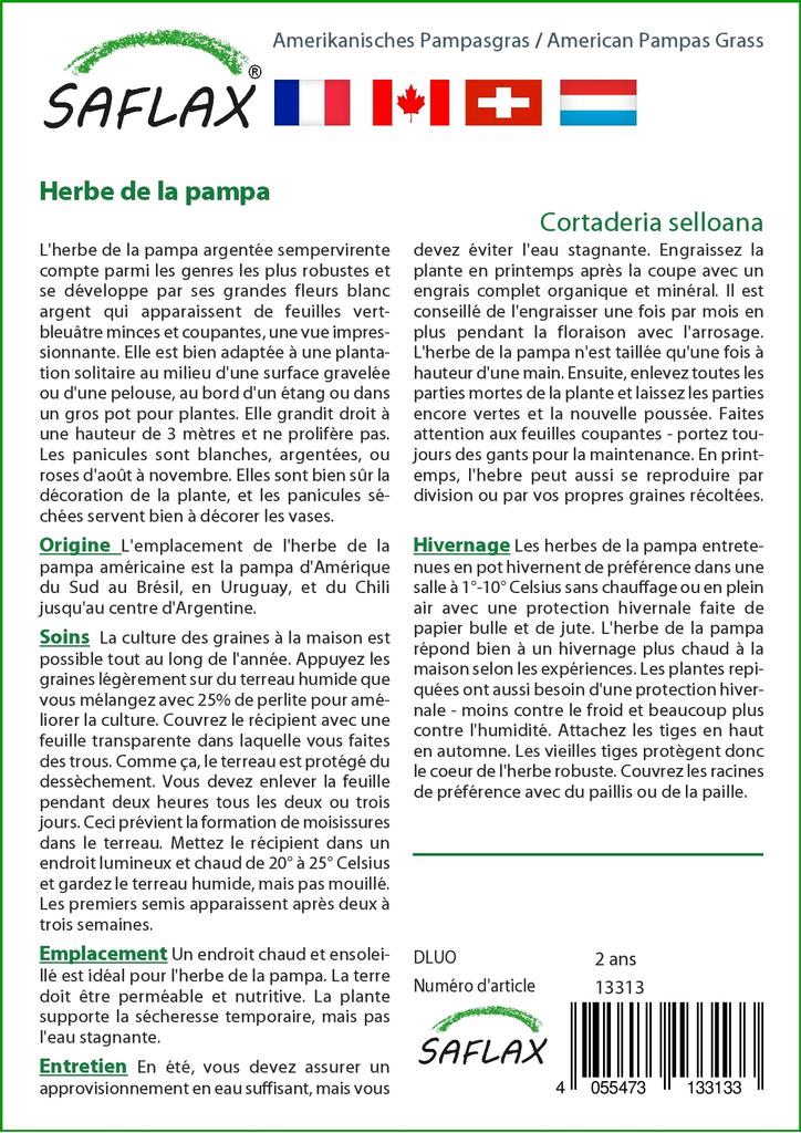 SAFLAX Erba della Pampa Americana - 200 semi - Cortaderia selloana