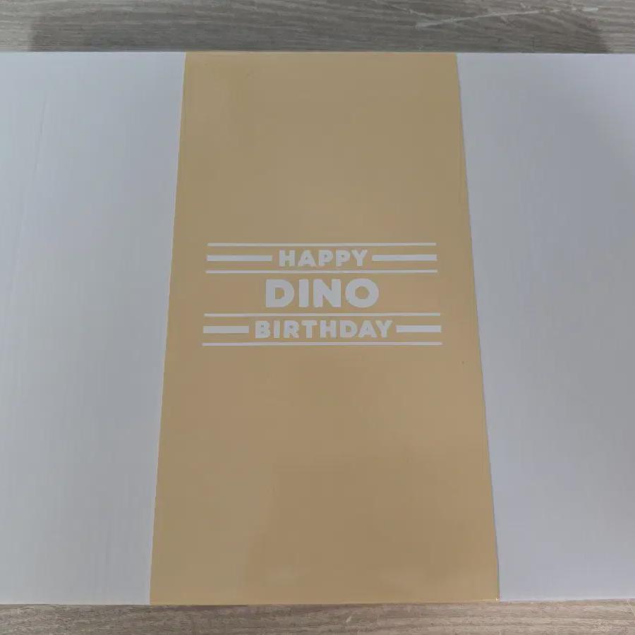 

Seventeen Dino Birthday Box Ver 2