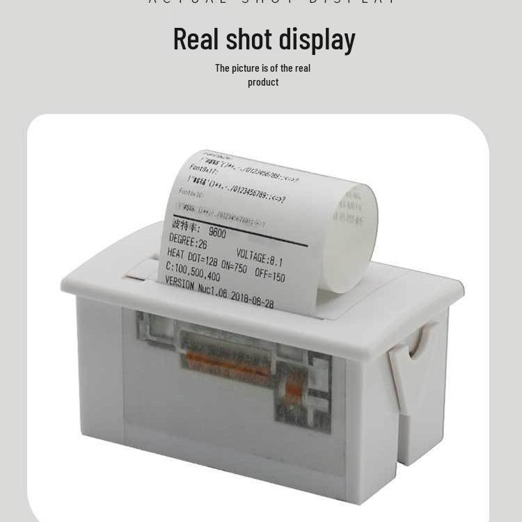 Mini Thermal Printer Module with 5V-9V TTL232 USB Interface
