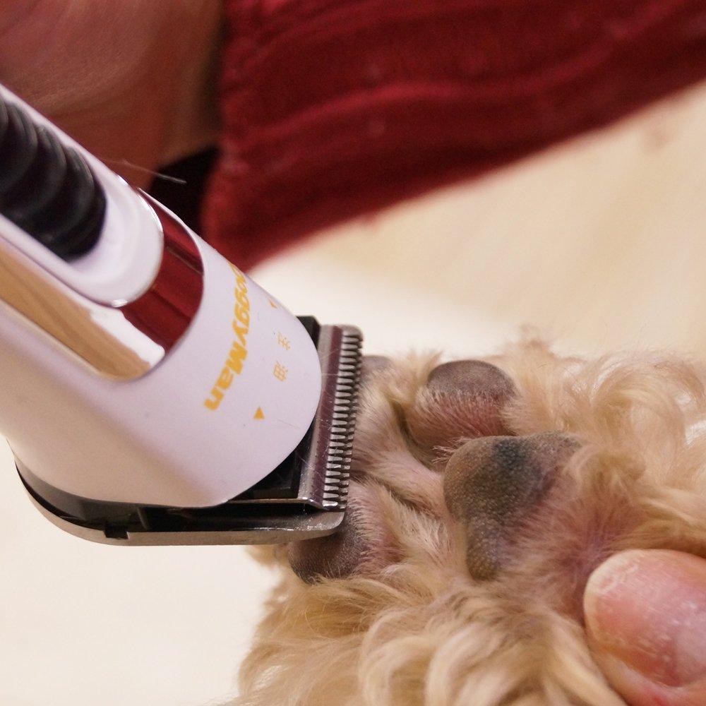 Doggyman Home Barber Expert Style Compact