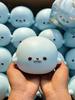 Hachimi Soft Slow Rebound Seal Mochi Decompression Toy: Hand Clay Feel Simulation.