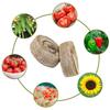 Peat Pellets 10 Count 30mm Plant Starter Seedling Tray Nutrition Block Compression Peat Block Nursery Block