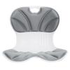 Jiancheng Lumbar Vibration Massage Cushion CN plug (adapter included)