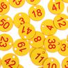 20/50Pcs Farm Number Tags Mating Box Beekeeping Husbandry Hanging Numbered Tag