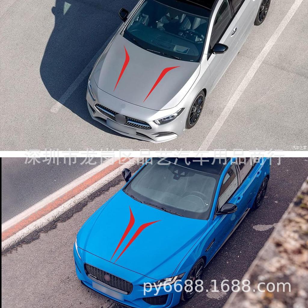 39-Inch Car Racing Sport Hood and Side Skirt Stripe Decals