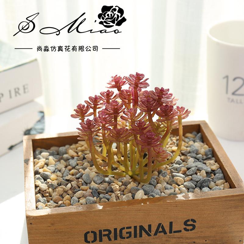 

Wusmart Большие Искусственные Суккуленты Растения Сделай Сам Аксессуары для Цветочной Композиции Настольный Мини Бонсай Цветочная Головка фиолетовый