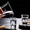 6 Stück Quadratischer Boden Dickes Glas 10ml/20ml Kleine Tassen Schnapsglas Trinkgeschirr Bar Dekor Transparent Baijiu Spirituosen Tasse Weindosierer