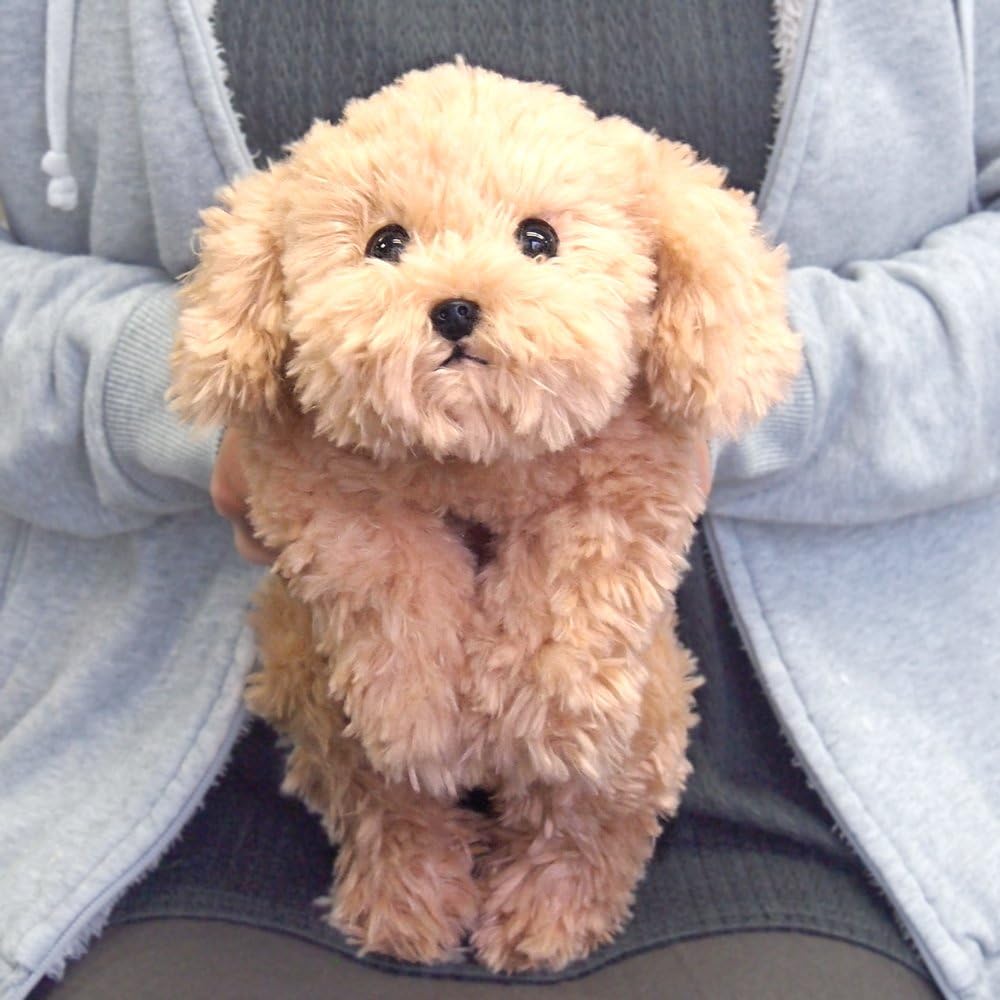 Hizawanko Toy Poodle Plush Toy Beige Small 30cm