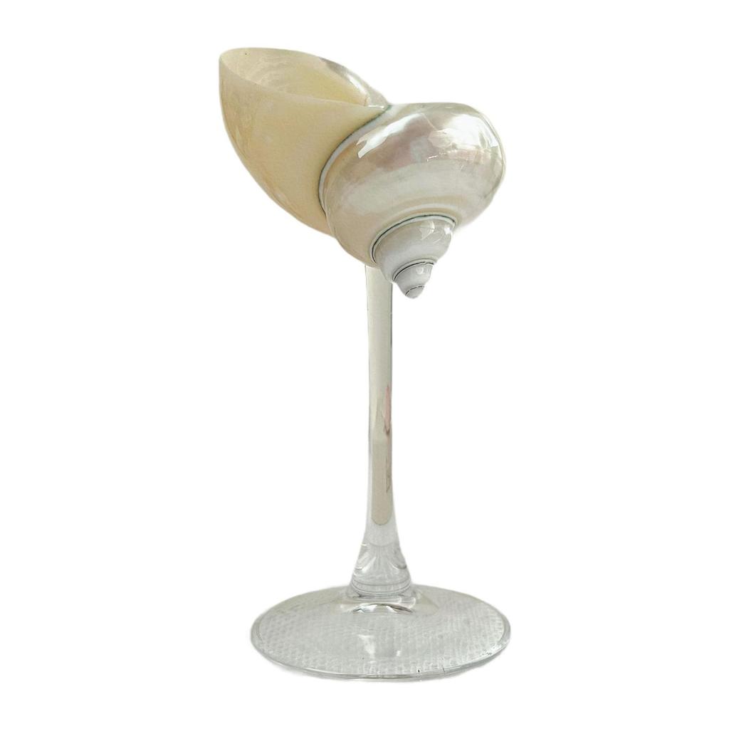 Conch Shell Champagne Glass Cup for Celebrations, Unique Drinkware for Adults Home Bar Wedding Favor Decoration Artistic Display