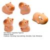 12 Stück Mini-Capybara-Figuren Niedliche winzige Capybara Harz-Ornamente Miniatur