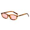 Vintage Cat Eye Sunglasses Women  Fashion New Outdoor Casual Shades Trendy Stylish Luxury Brand Design Decor Sun Glasses