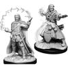 WizKids D&D Nolzur's Marvelous Miniatures Female Human Druid