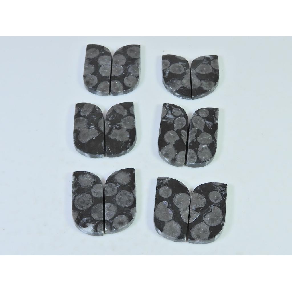 Natural Black Fossil Coral Matched Pair Fancy Cabachon Gemstone 06 Pair Lot C-2680