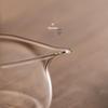 Heat-Resistant Glass Gongdao Cup with Wooden Handle