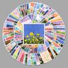 100pcs Trendy Oil Painting Stickers for Suitcases, Notebooks, Cars - Personalized Graffiti for Decoration